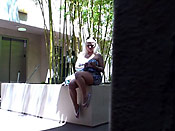 Public college sharking - Public college sharking