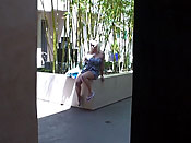 Public college sharking - Public college sharking