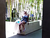 Public college sharking - Public college sharking