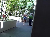 Public college sharking - Public college sharking