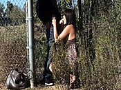 Roadside romance - Roadside romance