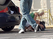 Jackys joy ride - Jackys joy ride