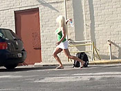 Jackys joy ride - Jackys joy ride