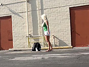 Jackys joy ride - Jackys joy ride