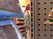 Library hallway sharking - Library hallway sharking