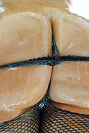 Briella Bounce Pictures in Bouncy On Your Bar