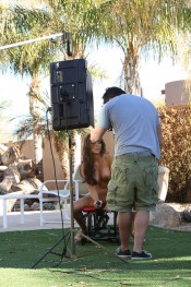 Be a fly on the wall and slip behind the scenes to watch beautiful Mckenzee Miles as she works herself up for the camera using the rocker.